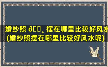 婚纱照 🌸 摆在哪里比较好风水(婚纱照摆在哪里比较好风水呢)